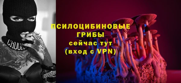 прущая мука Армянск