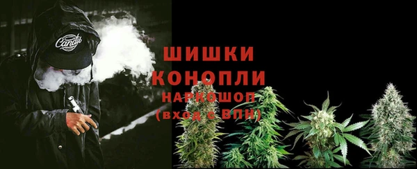 spice Арсеньев