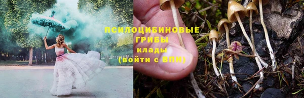 spice Арсеньев