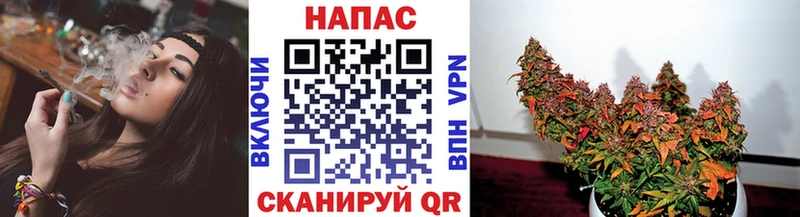 Каннабис сатива  даркнет Telegram  Ивдель 